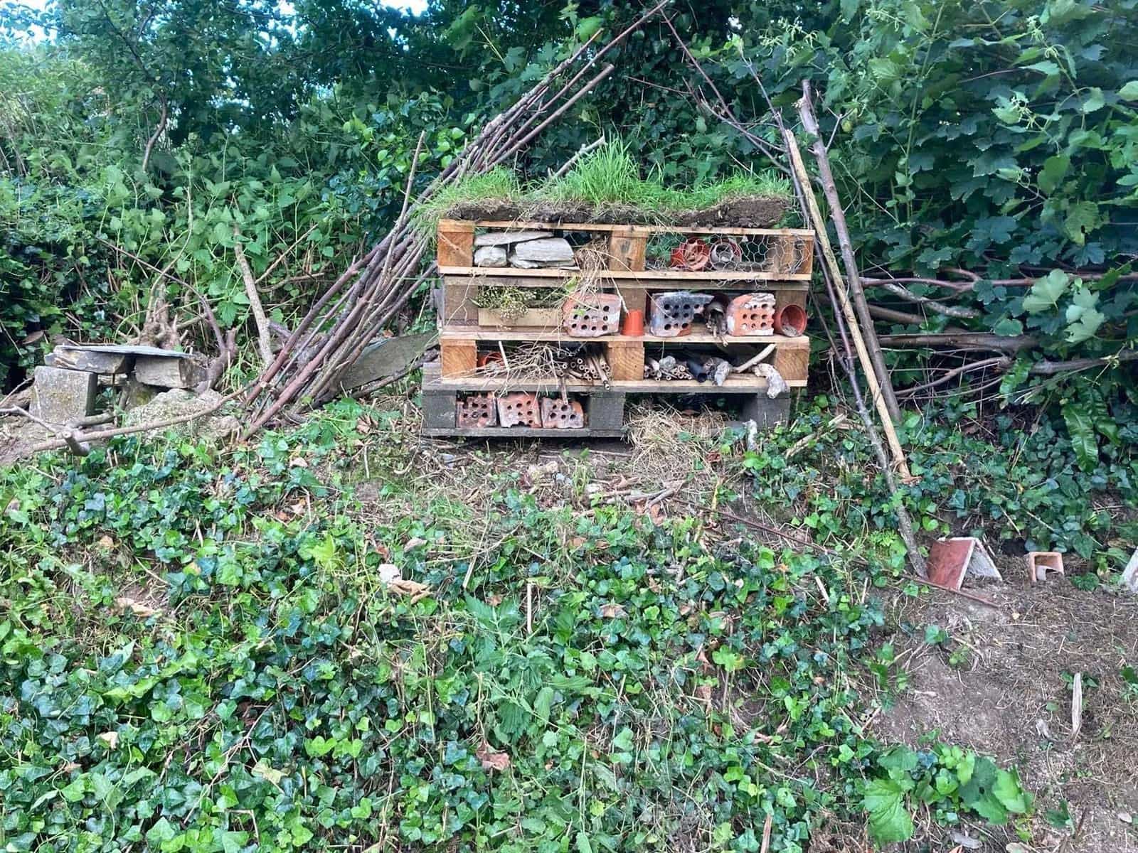 Busy Bee Hotel
